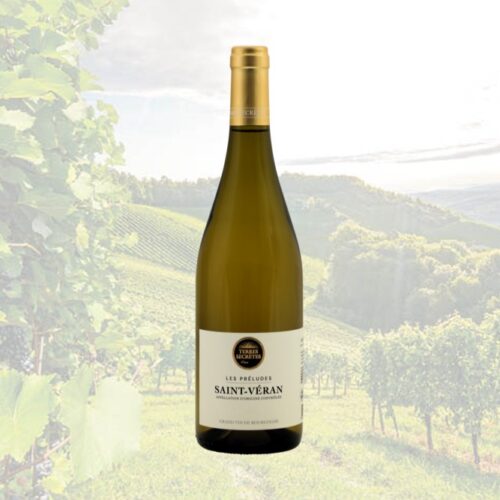 Terres Sécretes Préludes St. Véran