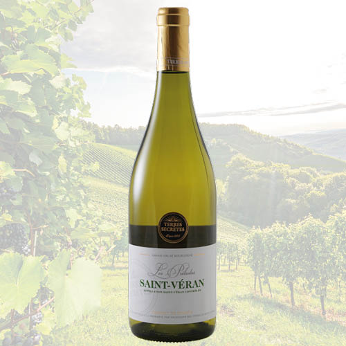 Terres Sécretes Les Préludes Saint Véran