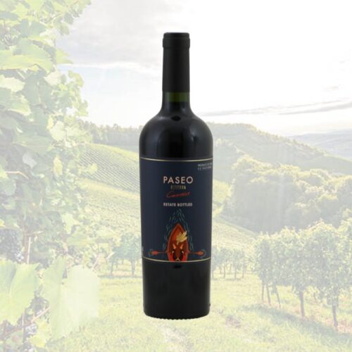 Paseo Reserva Carmenère